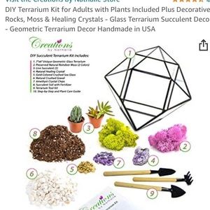 DIY Terrarium Kit Brass finish